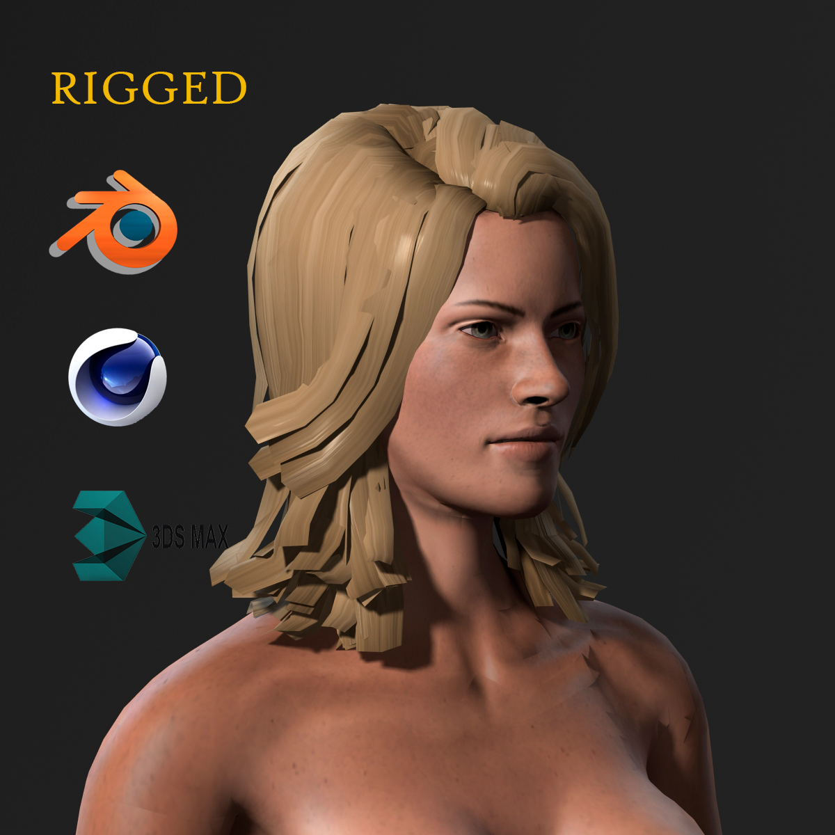 Naked Woman Rigged D Game Character Low Poly Cad Files Dwg Files The